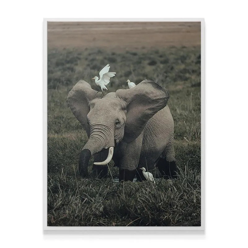 Lifestyle image showing the savanna landscape depth captured in 'Friends from Far'.