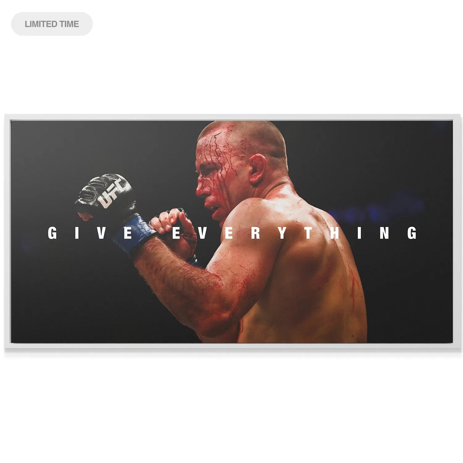 Texture shot emphasizing the canvas material and deep red blood details: George St. Pierre - Give Everything