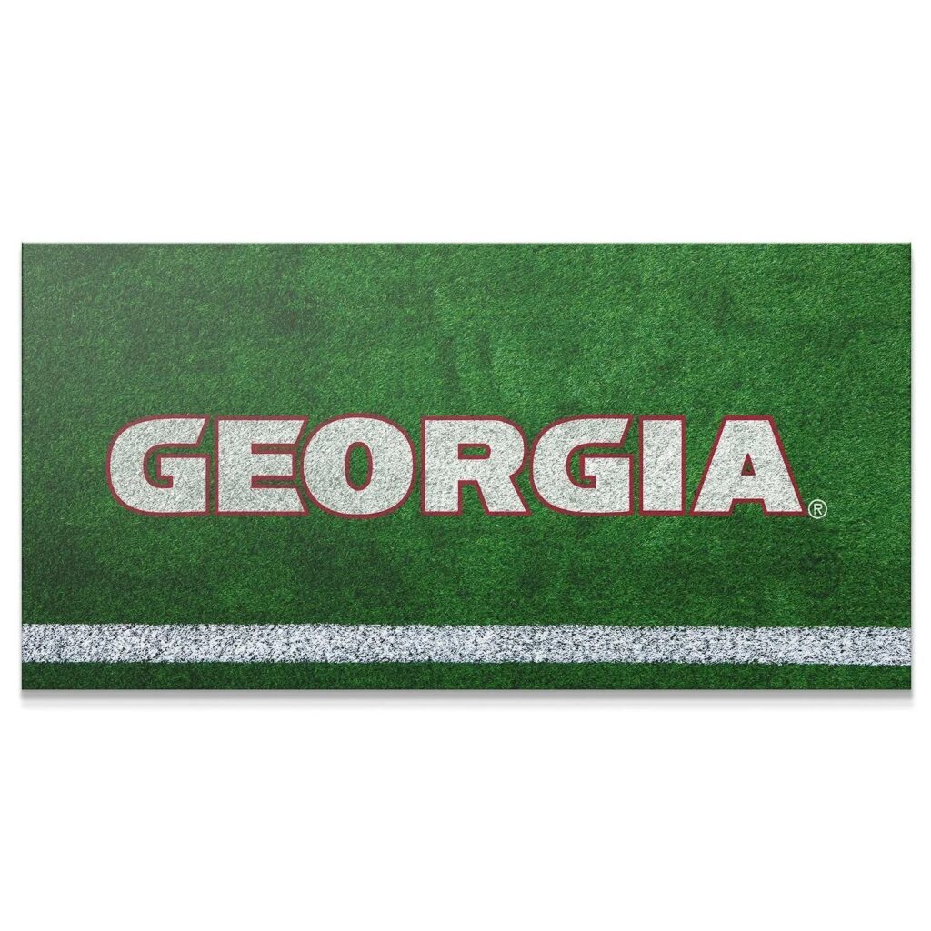 Georgia - Field Logo 2