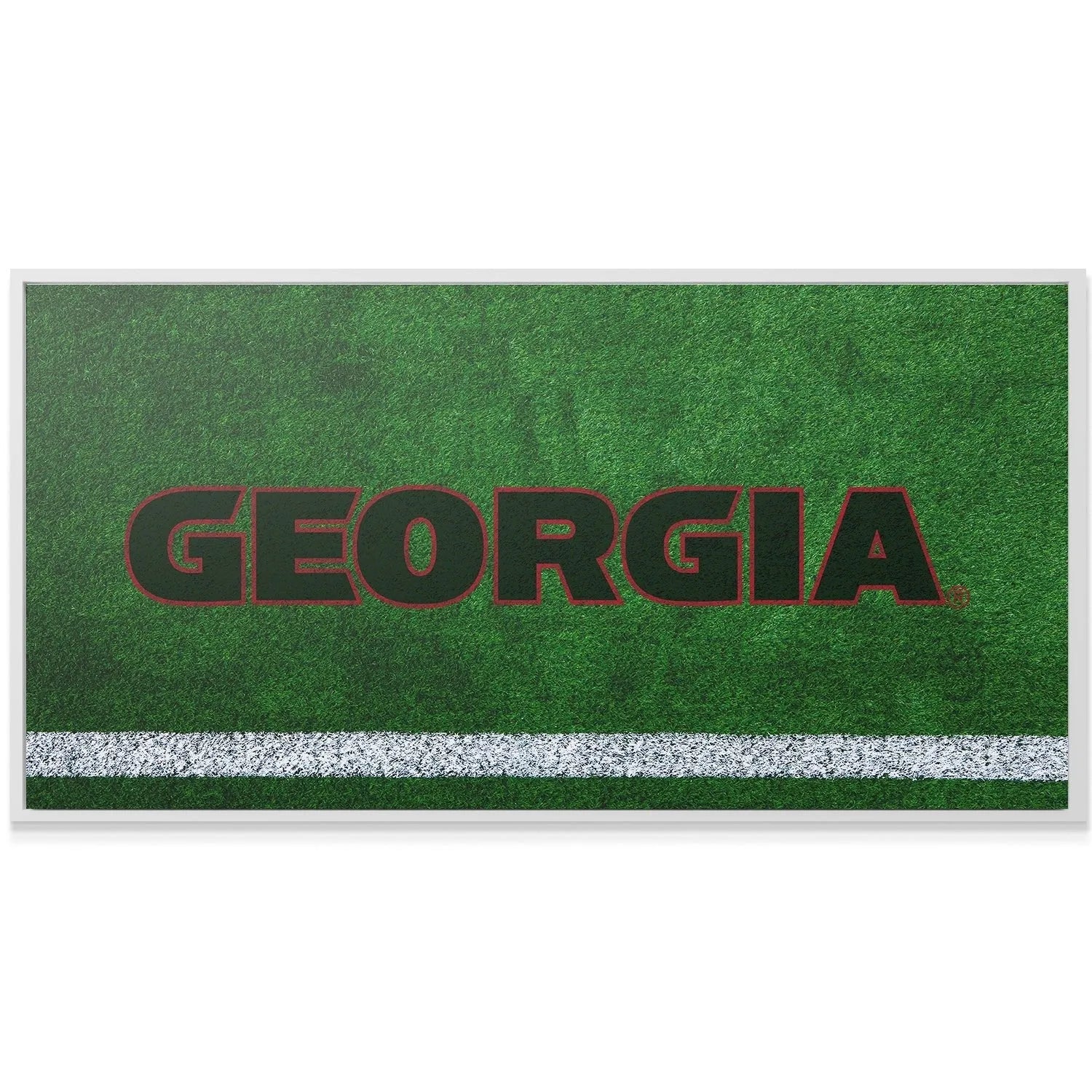 Horizontal presentation of the Georgia - Field Logo wall art suitable for placement above a couch or mantle.
