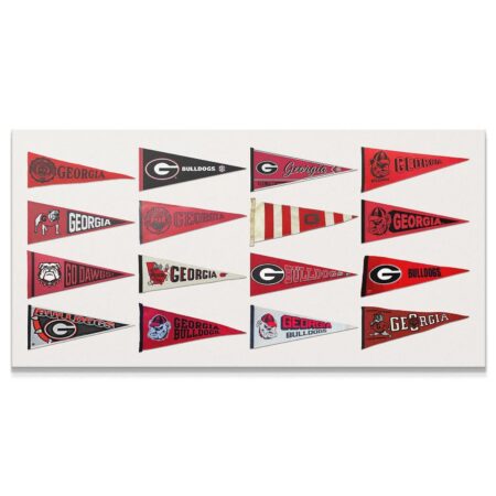 Full overview of the 16 distinct vintage Georgia - Pennants canvas print displayed horizontally.