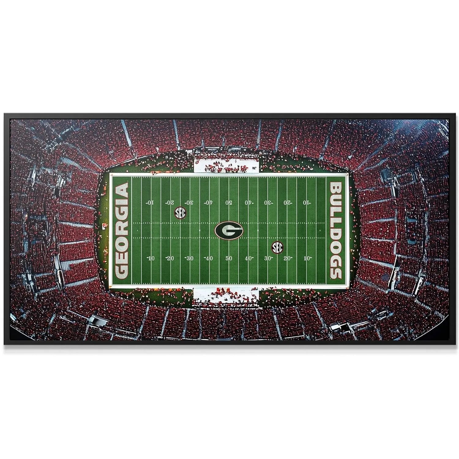 Close-up detail of the 50-yard line 'G' logo and SEC marks within the Georgia - Stadium print.