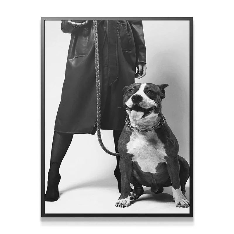 Close-up of the happy, panting, smiling face of the American Bully type dog, truly a 'Girls Best Friend'.