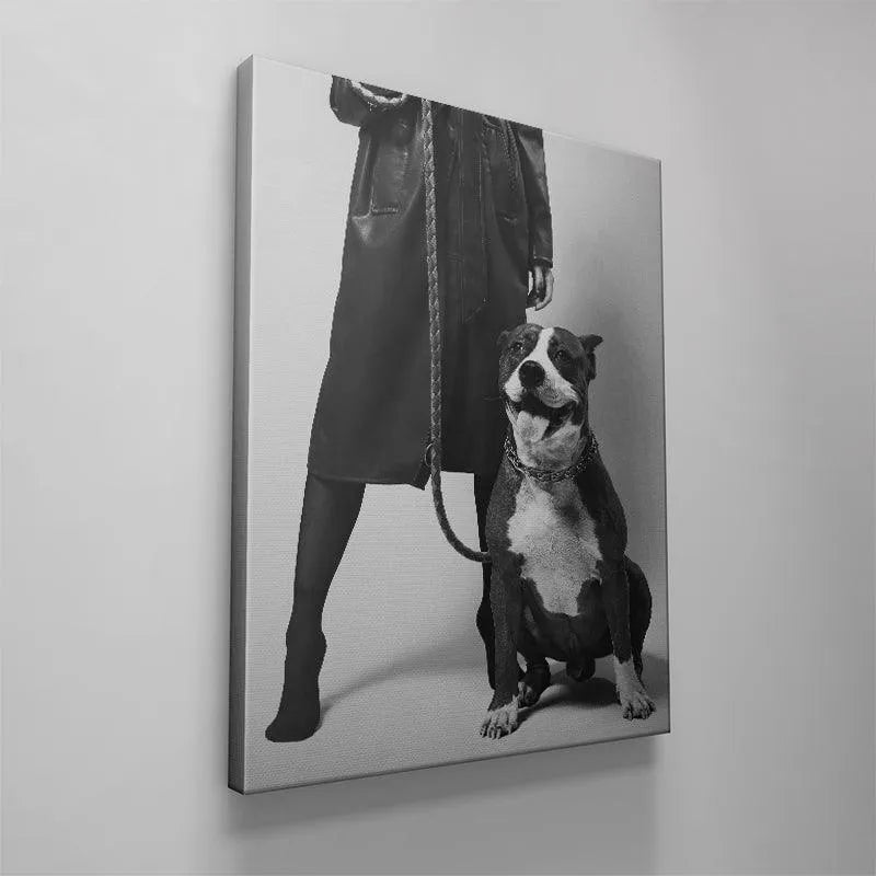 Studio portrait of the well-trained dog sitting patiently and obediently next to his human, the perfect 'Girls Best Friend'.