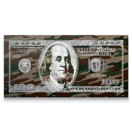 Close-up view of Benjamin Franklin's portrait on the 'Hidden Money' camouflage canvas.
