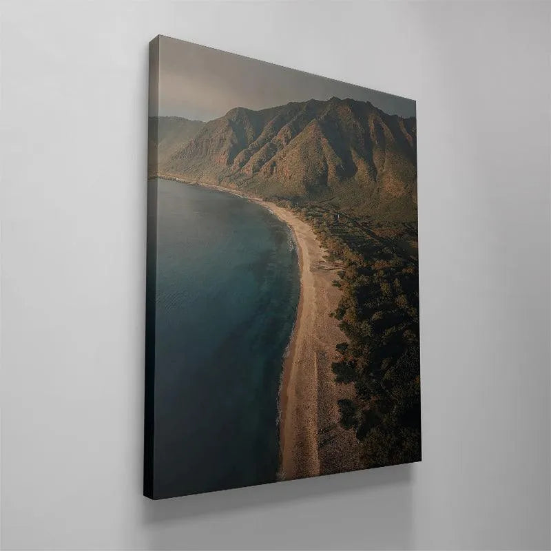 Scenic panorama capturing the dense tropical forest bordering the shoreline, 'Island Side View'.