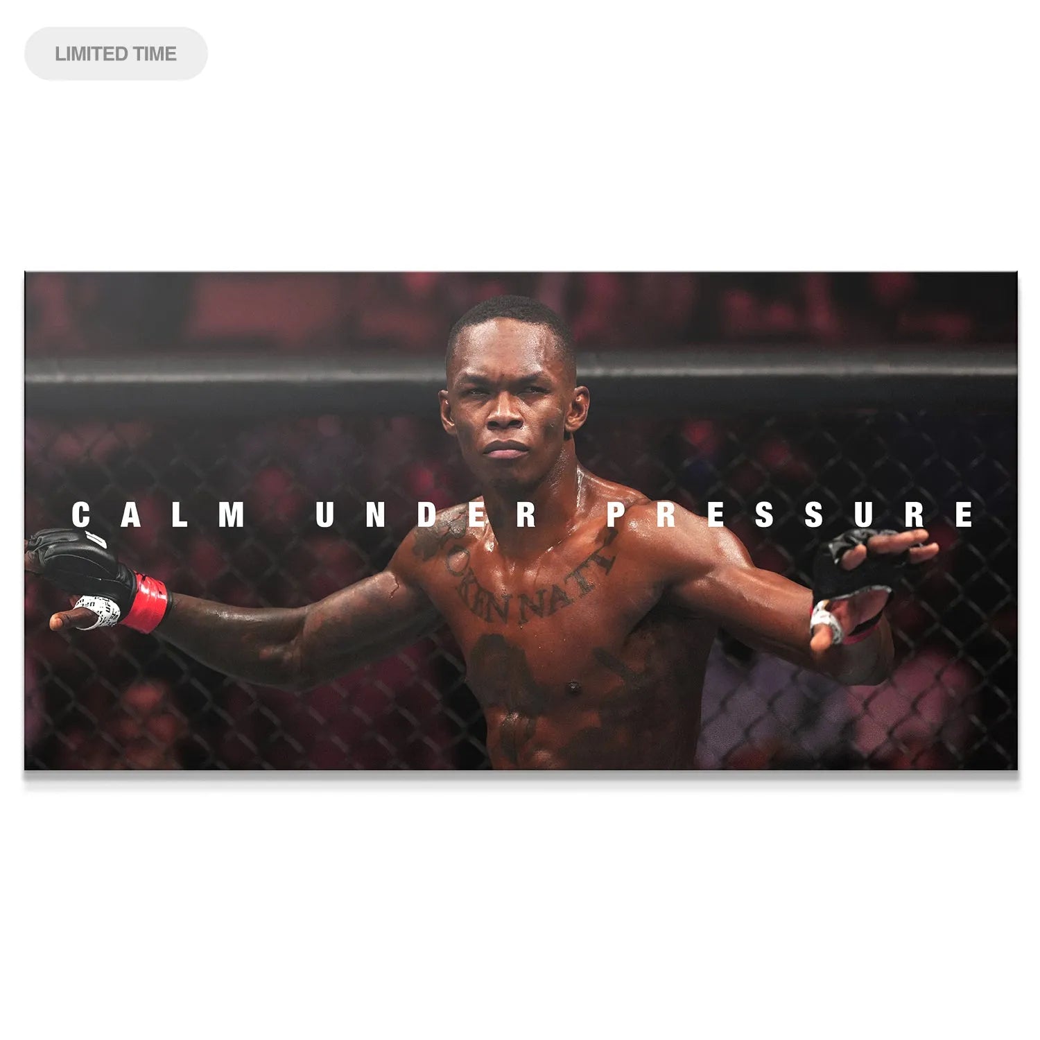 Intense close-up portrait of Israel Adesanya - Calm Under Pressure, showing facial focus and determination.