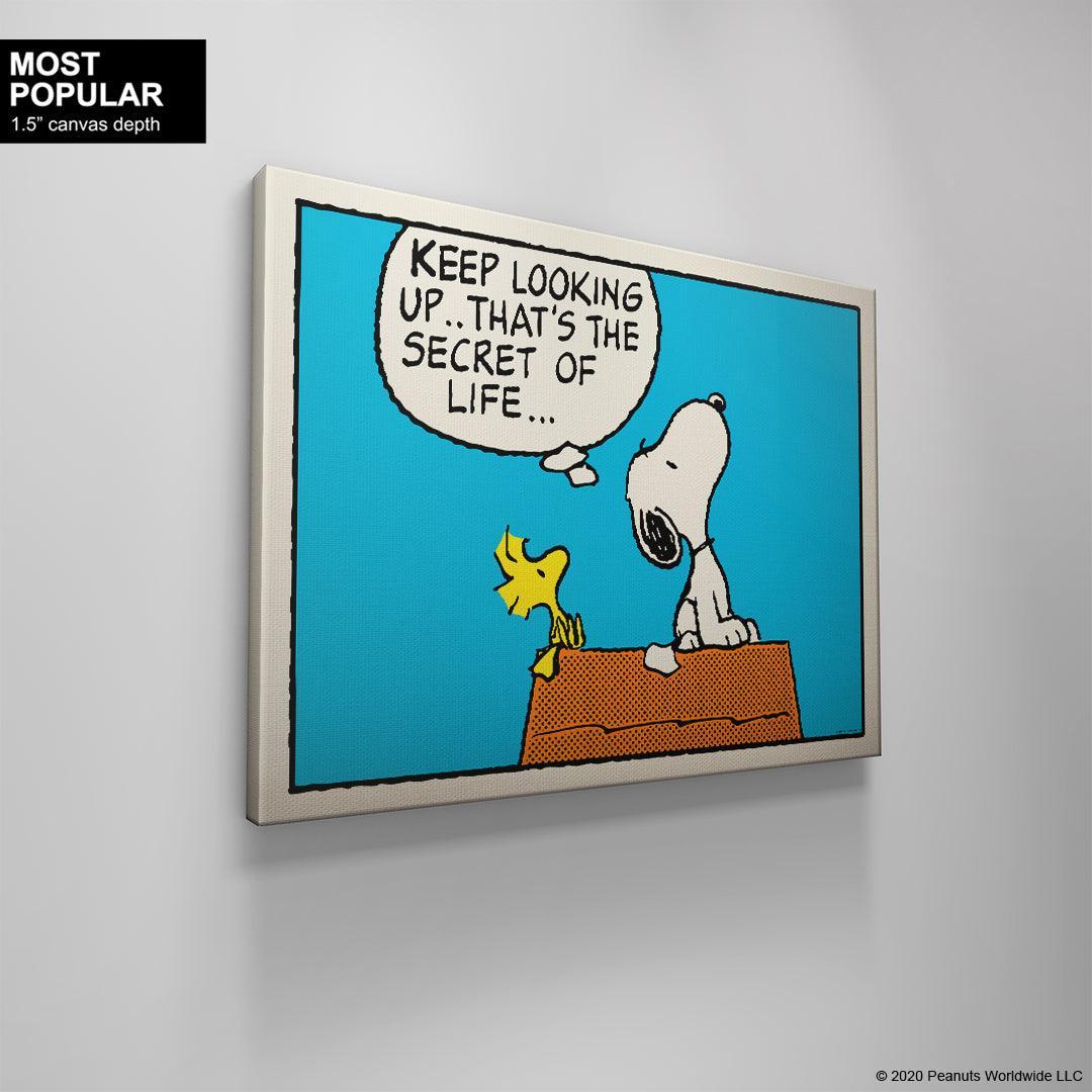 PEANUTS - Keep Looking Up - Image 7