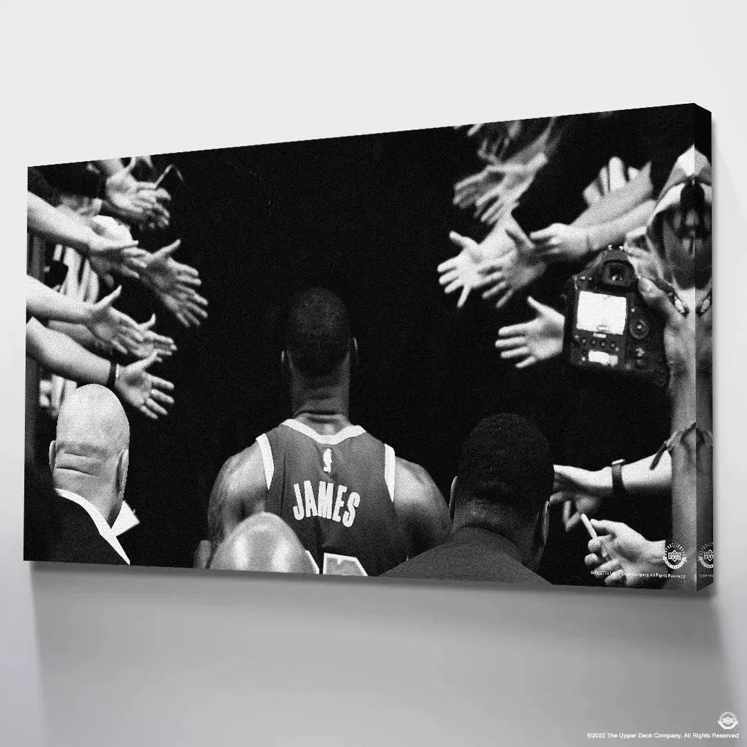 High-resolution detail focusing on the contrasting light and shadows in 'LeBron James - Tunnel Vision' artwork.