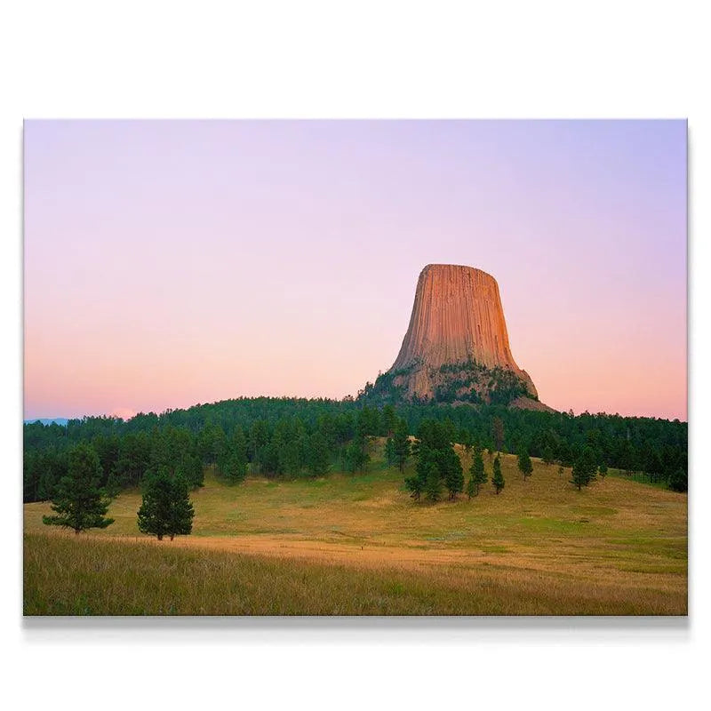 Full landscape view of Magic Hour At The Devils Tower with pink sky and golden prairie grass foreground.