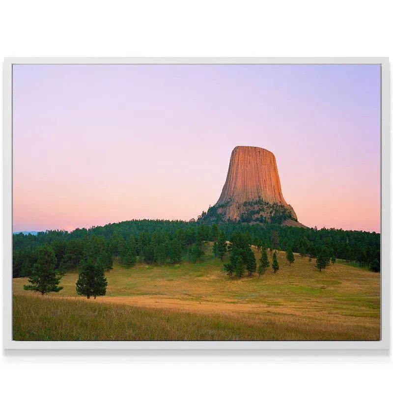 Close-up detail of the striated columnar basalt texture during Magic Hour At The Devils Tower sunset.