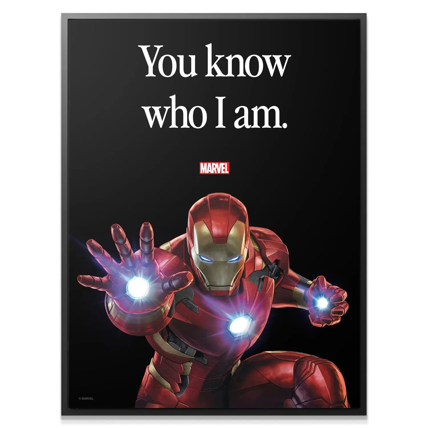 Full view of the premium poster featuring the white text 'You know who I am': Marvel - Iron Man - You Know Who I Am.