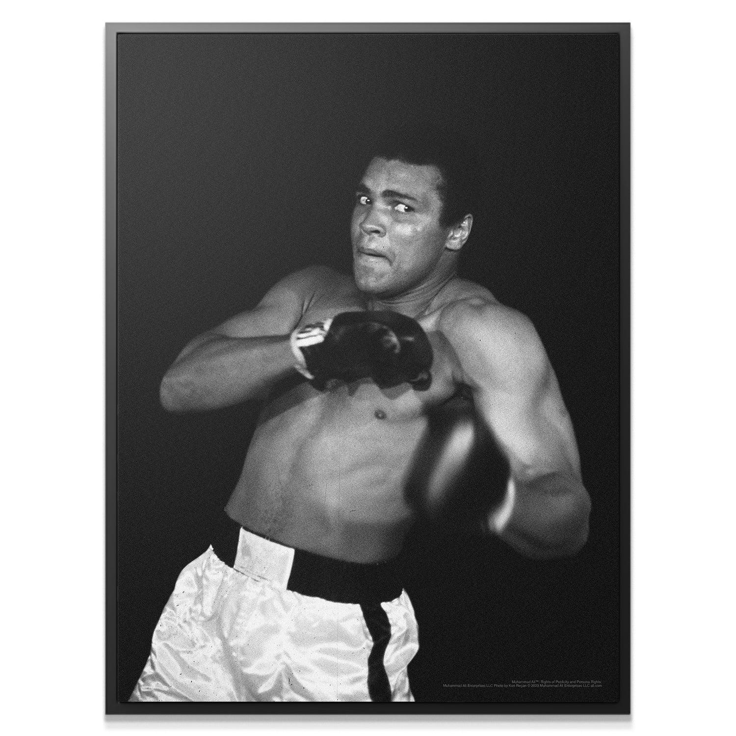 Muhammad Ali - Shadow - Image 2