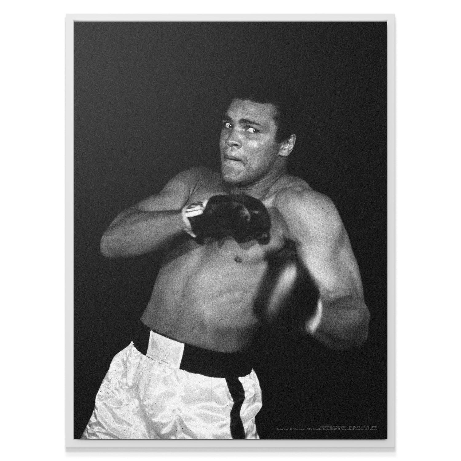 Muhammad Ali - Shadow - Image 3