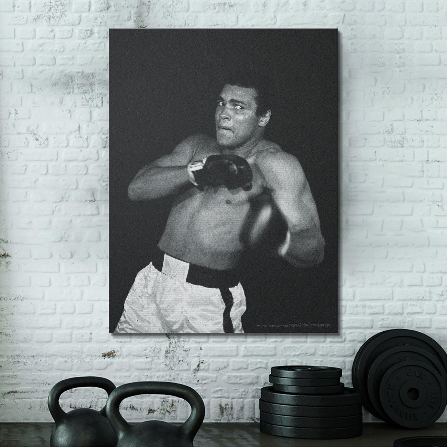 Muhammad Ali - Shadow - Image 5