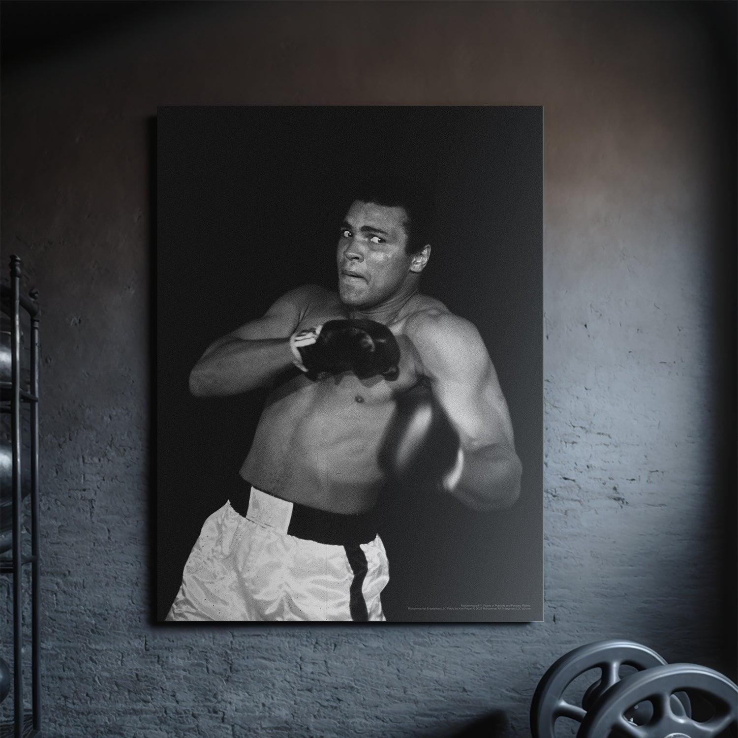 Muhammad Ali - Shadow - Image 4