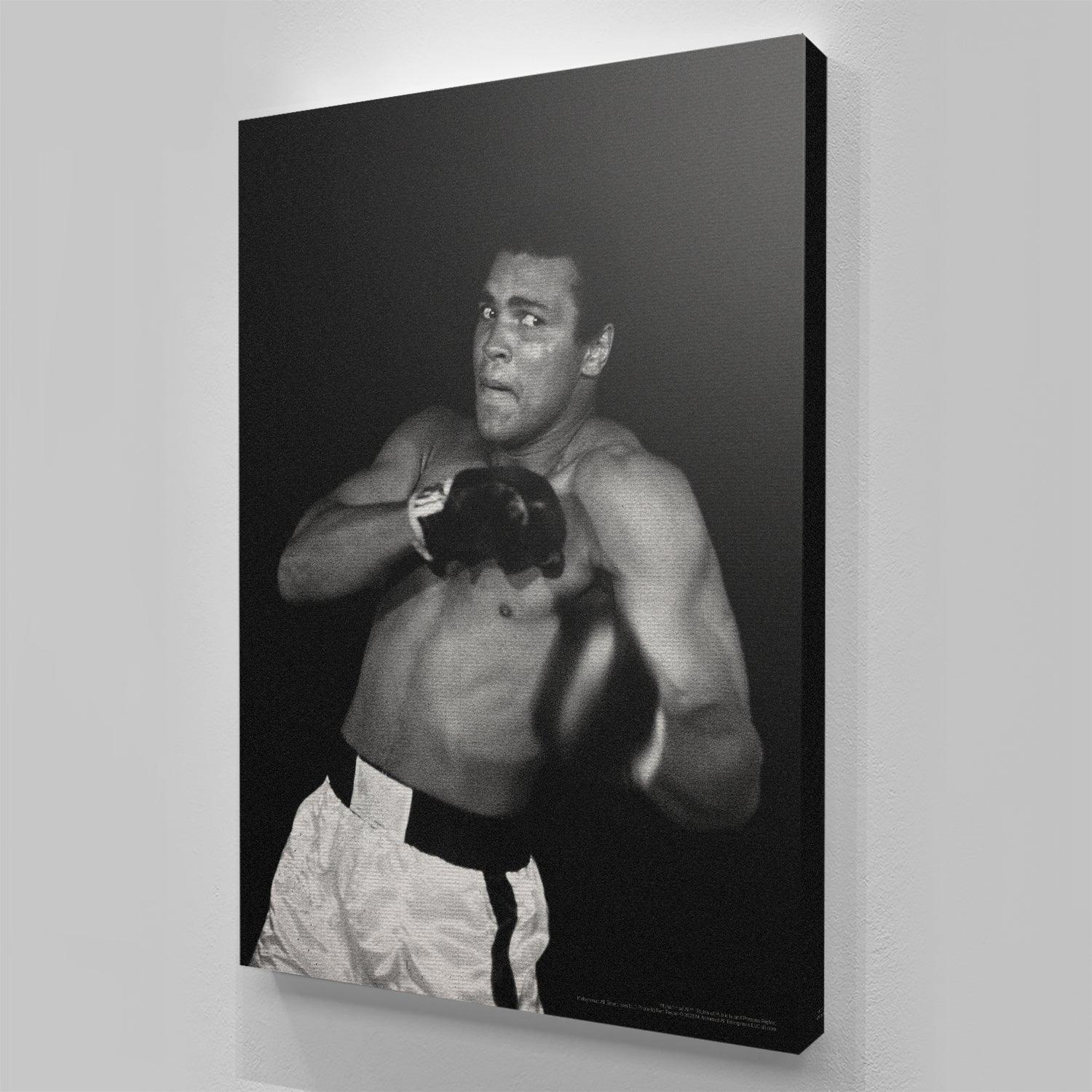 Muhammad Ali - Shadow - Image 6