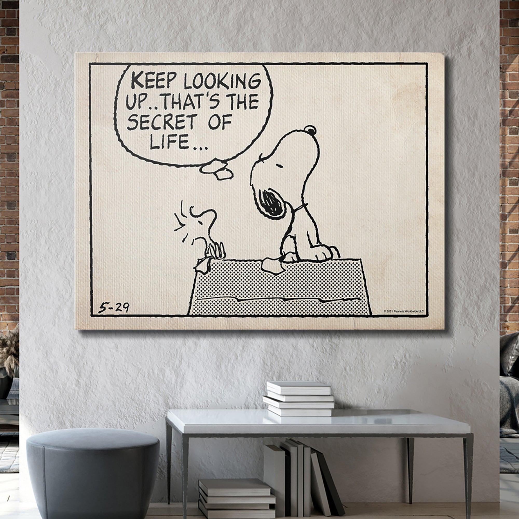Peanuts - Keep Looking Up - Sketch - Image 4