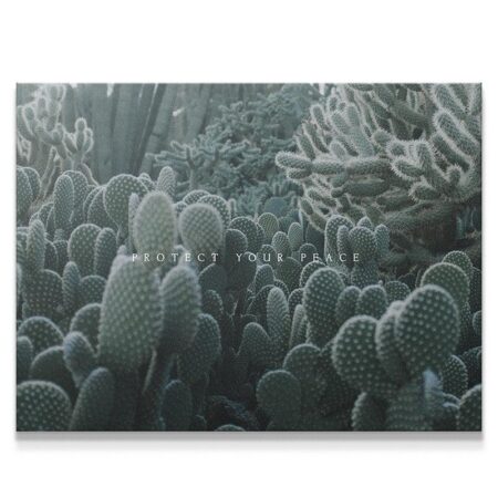 Protect Your Peace (Cactus)