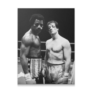 Rocky – Friends And Foes Wall Art Rocky - Friends And Foes