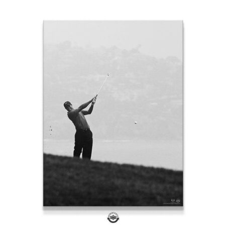 Tiger Woods - Fore