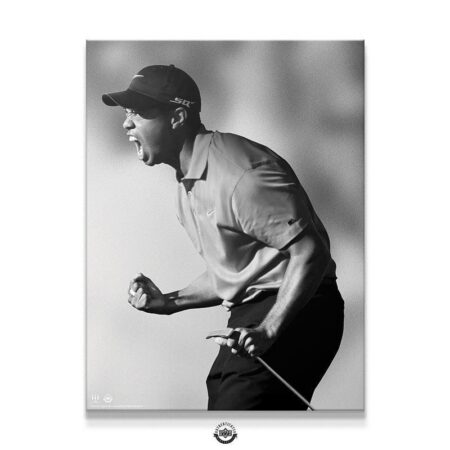 Tiger Woods - Roar