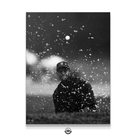 Tiger Woods - Splash