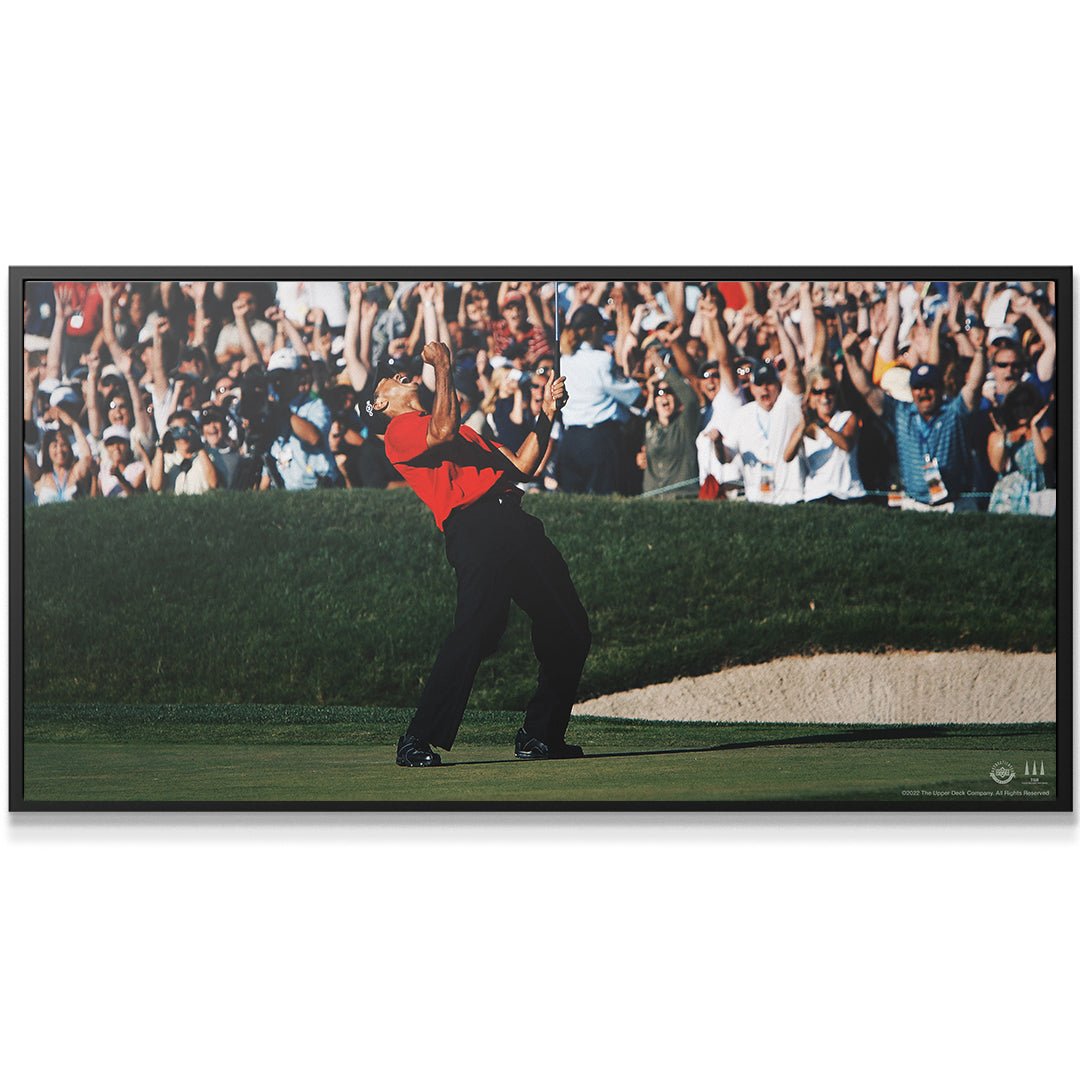 Tiger Woods - Give Everything - Image 5