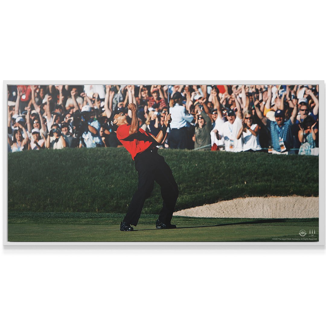 Tiger Woods - Give Everything - Image 6