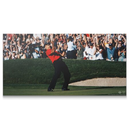 Tiger Woods - Give Everything (No Quote)