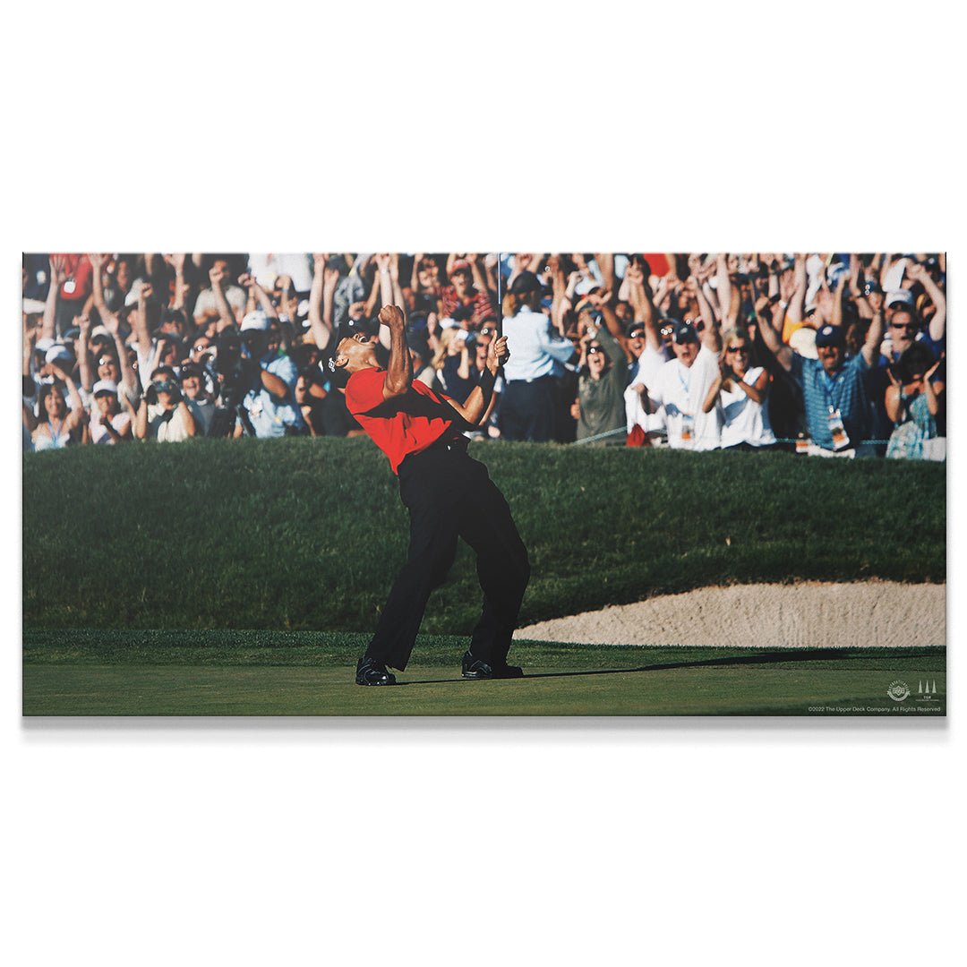 Tiger Woods - Give Everything (No Quote)