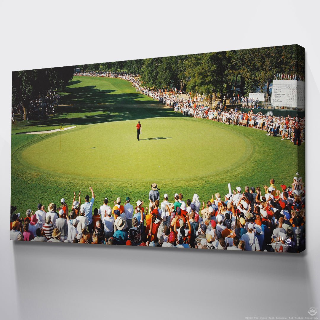 Tiger Woods - Main Stage - Image 5