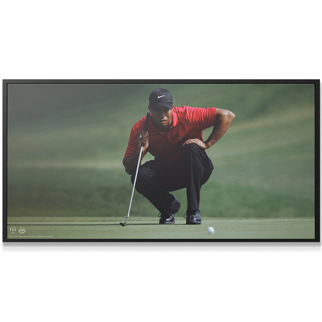 Tiger Woods - Master Your Mind - Image 5