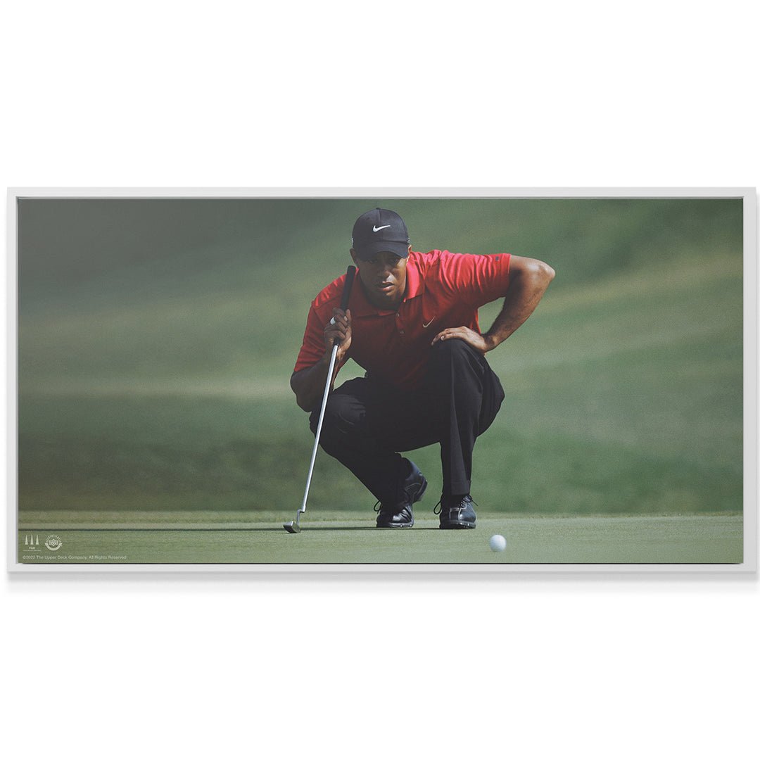 Tiger Woods - Master Your Mind - Image 6