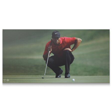 Tiger Woods - Master Your Mind (No Quote)