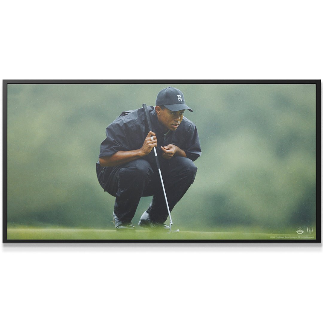 Tiger Woods - Mindset Is Everything - Image 5