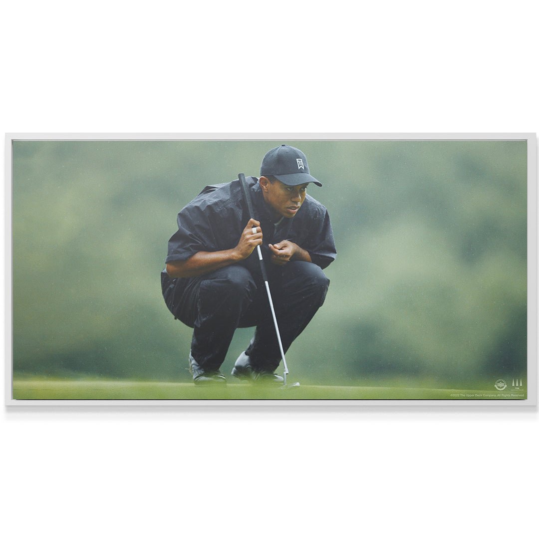 Tiger Woods - Mindset Is Everything - Image 6
