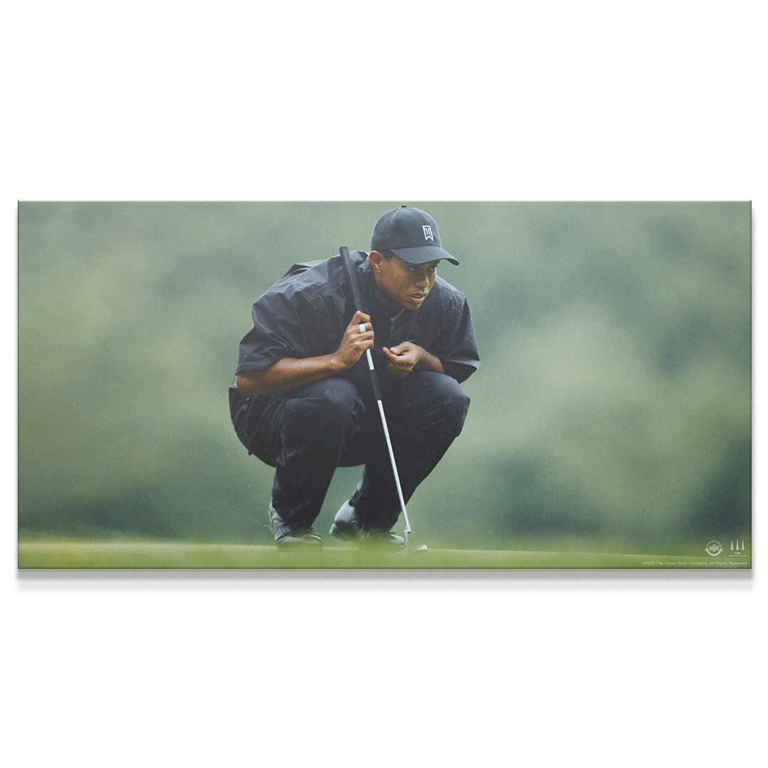 Tiger Woods - Mindset Is Everything (No Quote)
