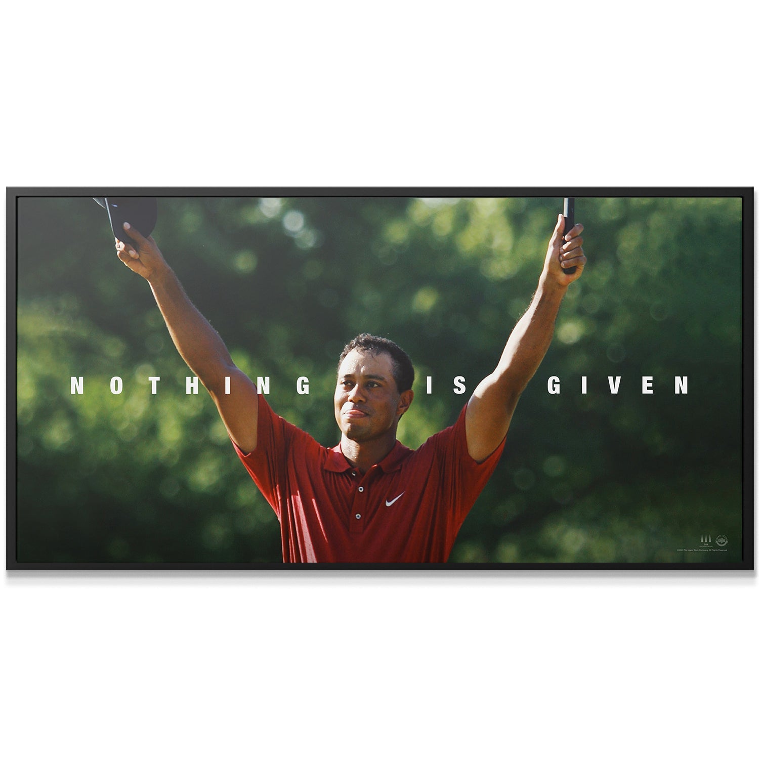 Tiger Woods - Nothing Is Given - Image 2
