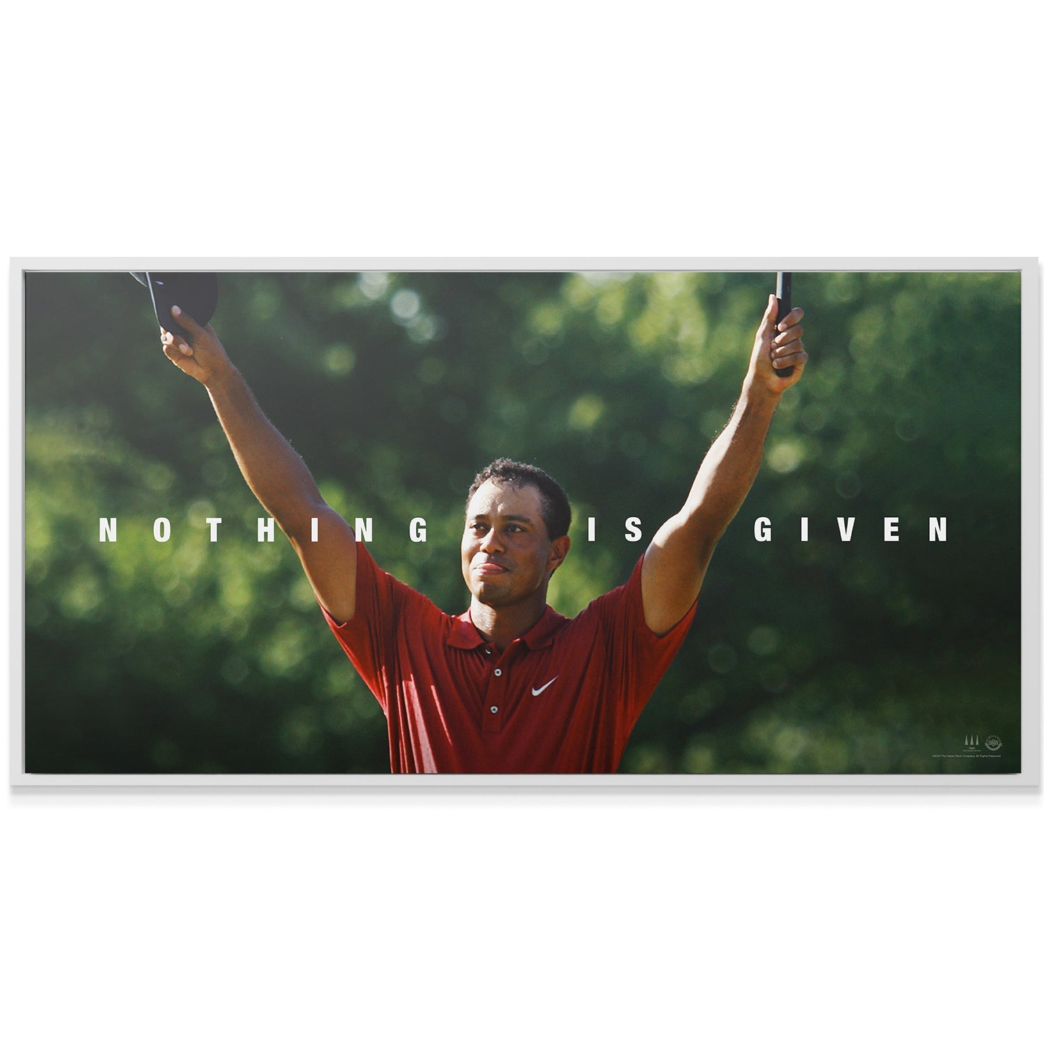 Tiger Woods - Nothing Is Given - Image 3