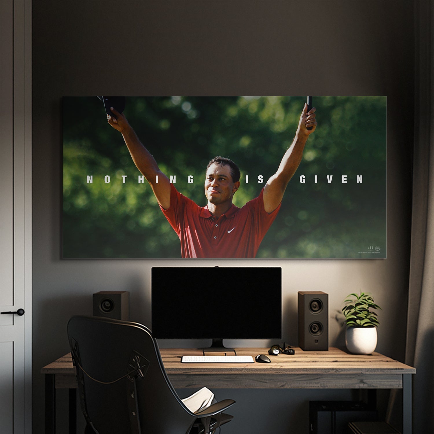 Tiger Woods - Nothing Is Given - Image 4