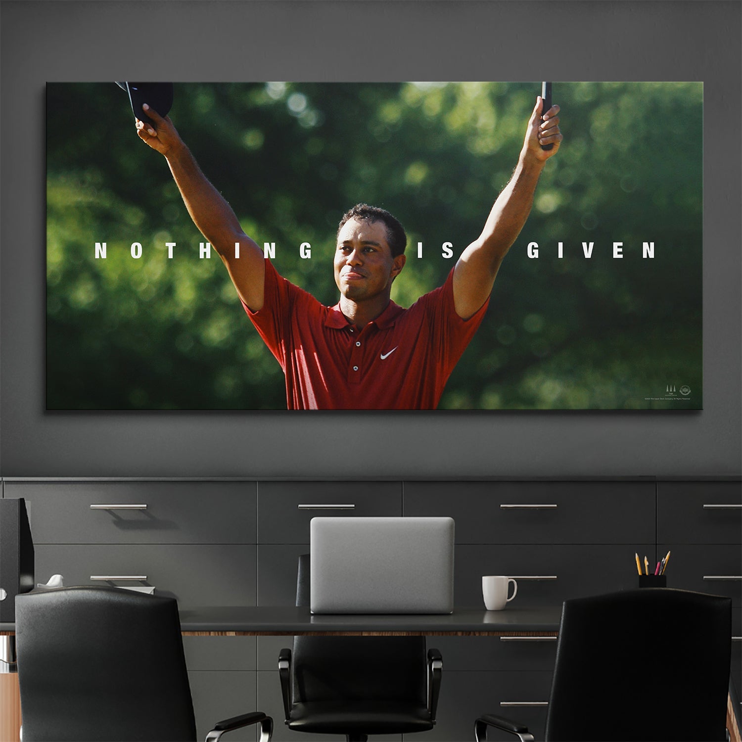 Tiger Woods - Nothing Is Given - Image 5