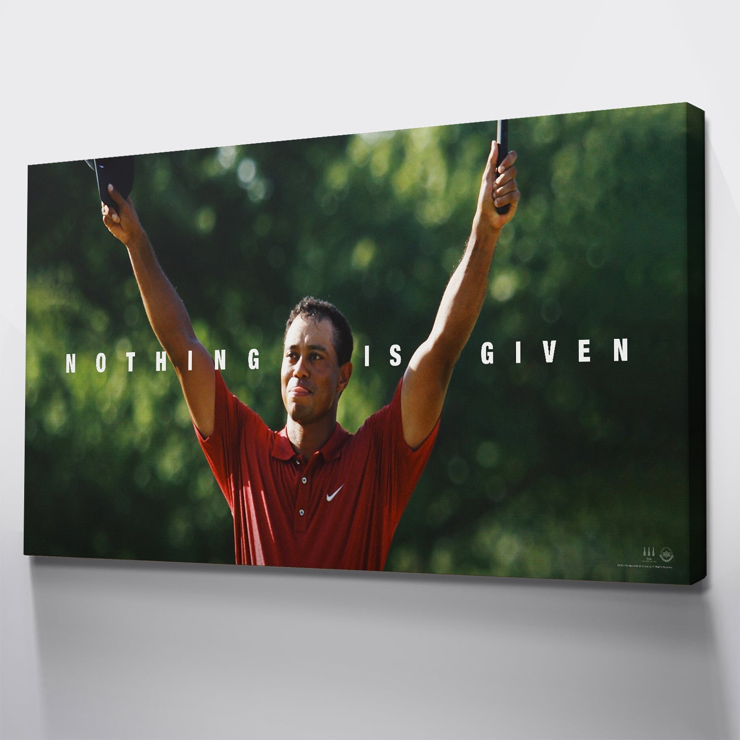 Tiger Woods - Nothing Is Given - Image 6