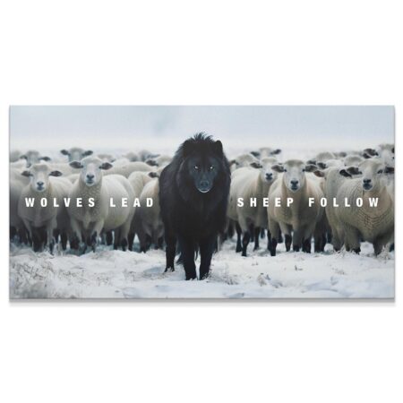 Wolves Lead, Sheep Follow
