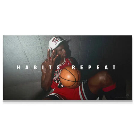 Close-up of Jordan's face and championship cap in 'Michael Jordan - Habits Repeat' canvas.