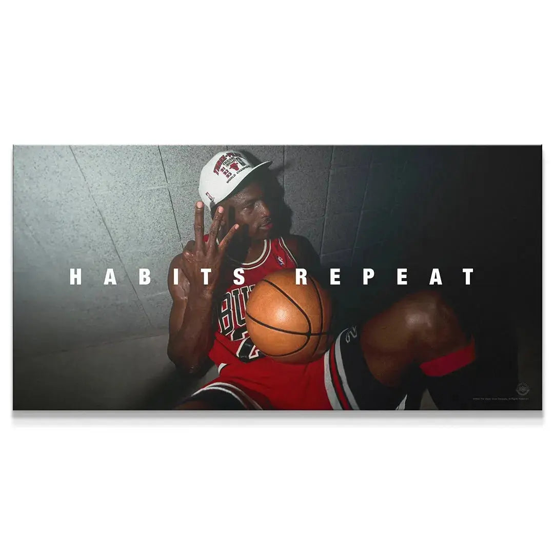 Close-up of Jordan's face and championship cap in 'Michael Jordan - Habits Repeat' canvas.