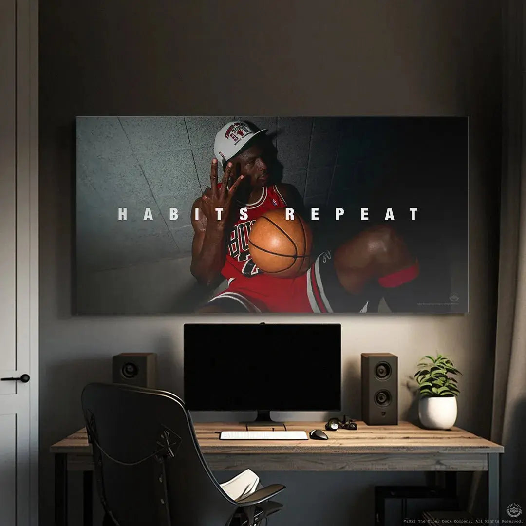 Detailed texture view of the leather basketball held by MJ in the 'Michael Jordan - Habits Repeat' image.