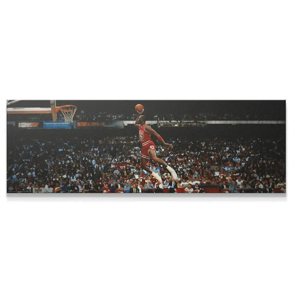Michael Jordan - Mid Flight