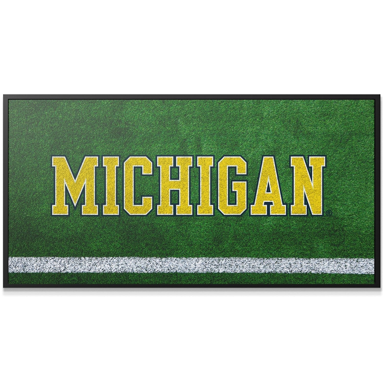 Michigan - Field Logo 2 - Image 2