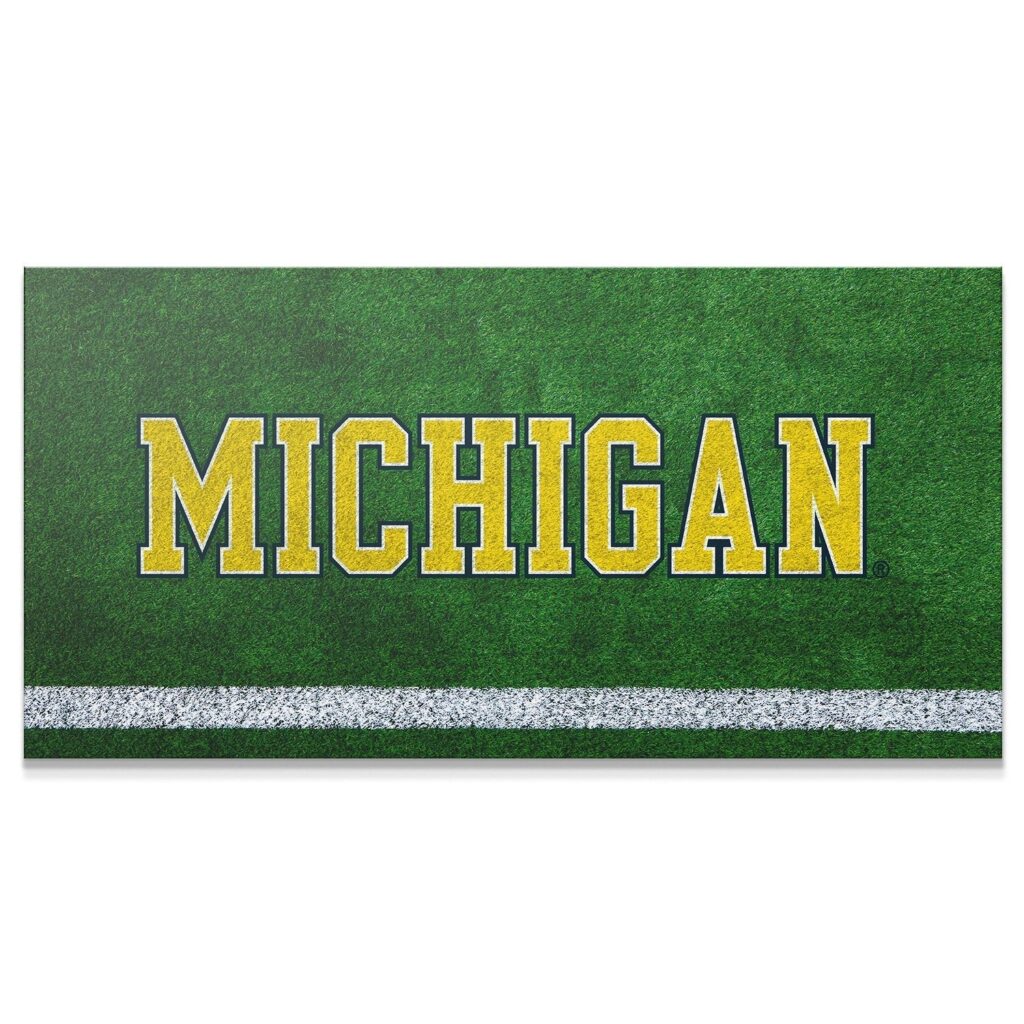 Michigan - Field Logo 2